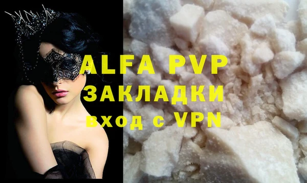 амф Верея
