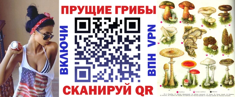 Купить  Малгобек  Псилоцибиновые грибы MAGIC MUSHROOMS 